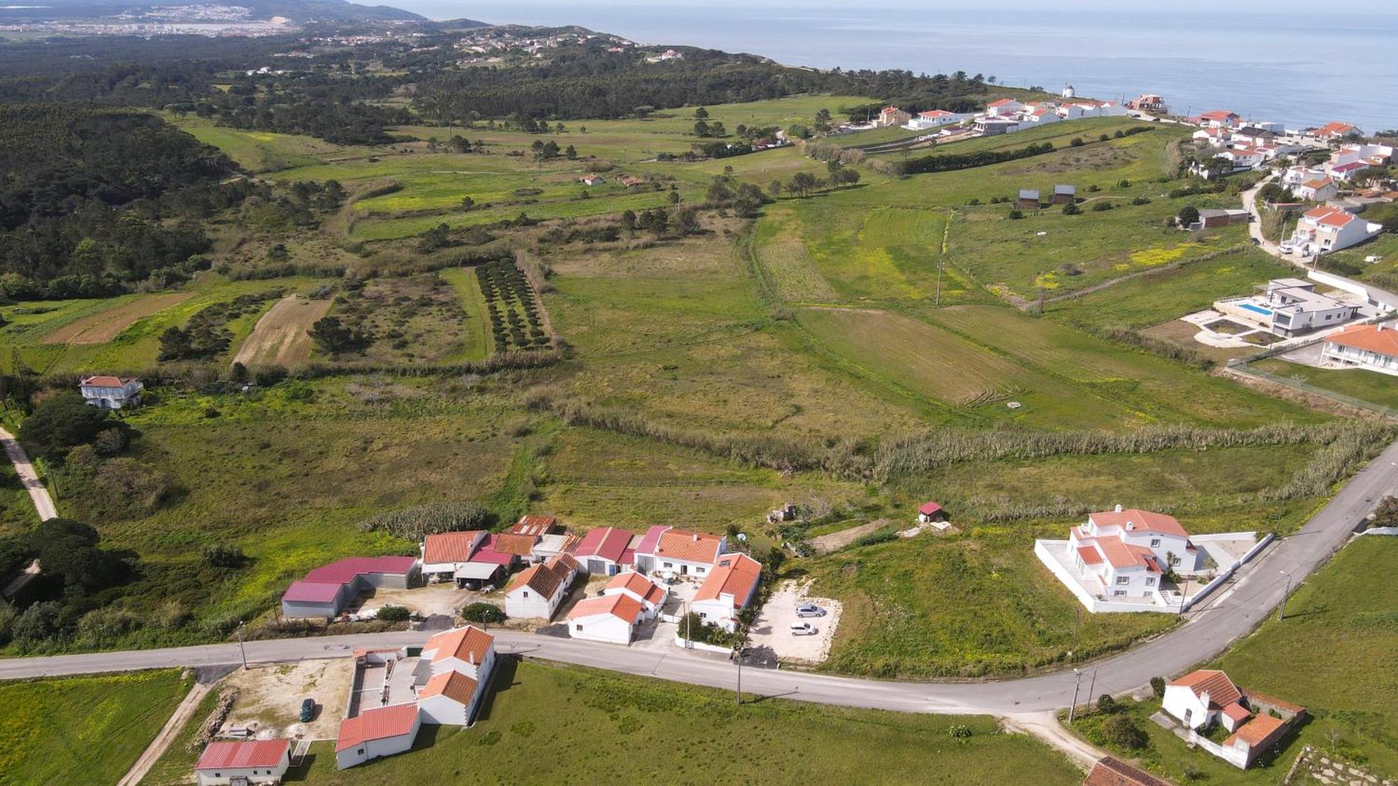 Casas Com Amoras In Serra Da Pescaria Famalicão Buitenkant foto